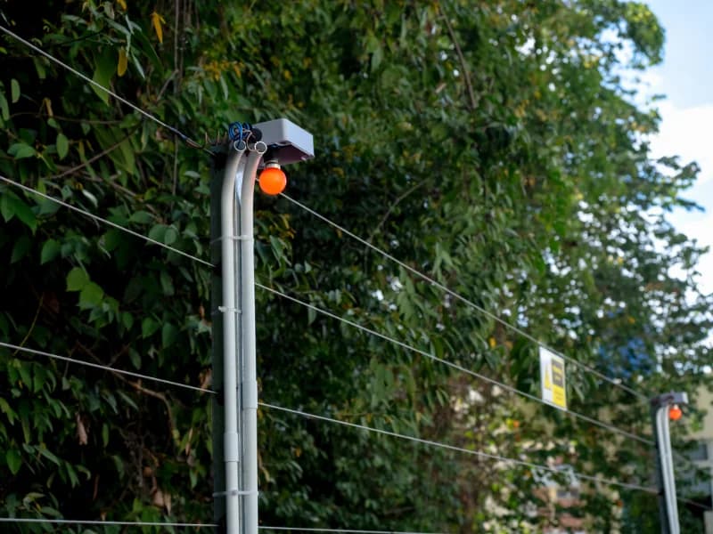 Electric Fencing Installation